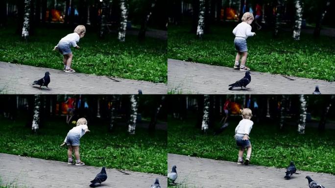 穿短裤的小男孩把葵花籽扔给鸽子。夏季公园。童年