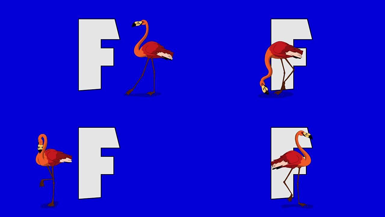字母F和火烈鸟 (前景)