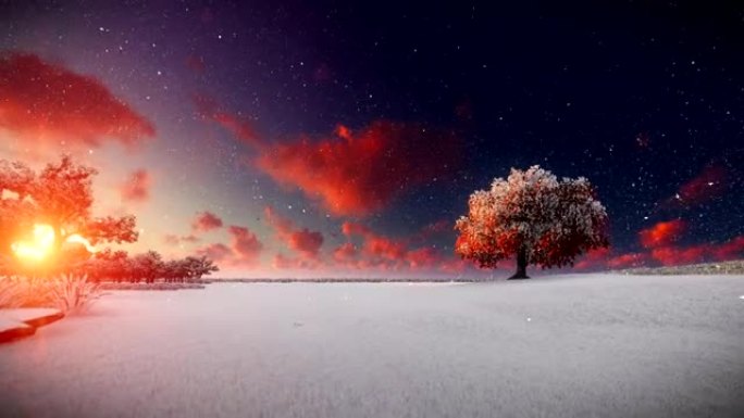 生命之树，雪与美丽的日落