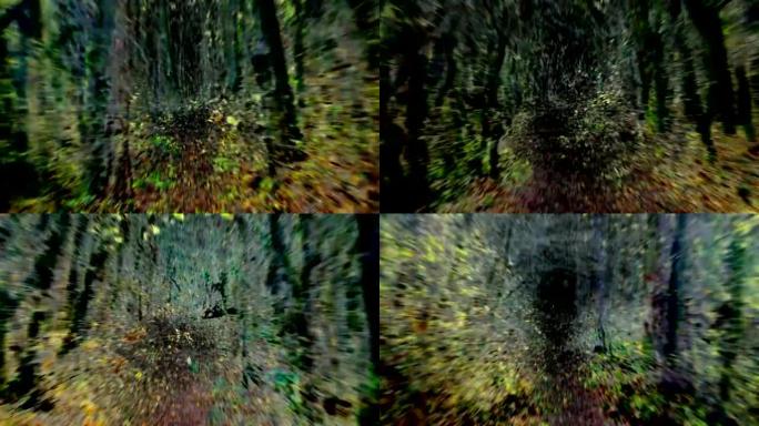 非凡的步行: 穿越落叶林的路径，秋季艺术，宁静 (循环)