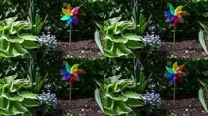 夏天花园里五颜六色的风车