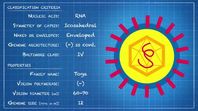 Togaviridae-病毒分类标准和性质
