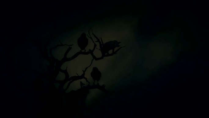 黑乌鸦站在暴风雨中的枯树上