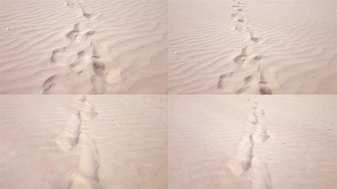 慢动作中沙漠上的脚印的两个视频