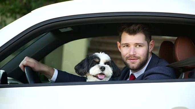 与宠物一起生活-商人与他的狗一起开车