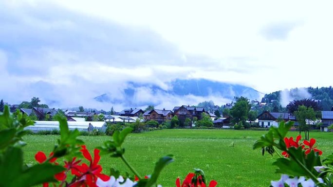 瑞士小房子村视频，红花前景和山背景