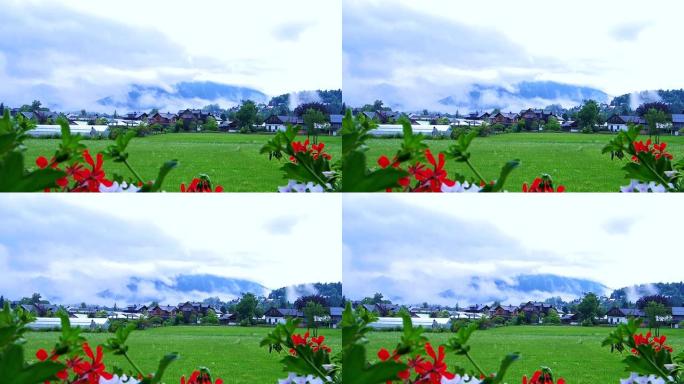 瑞士小房子村视频，红花前景和山背景