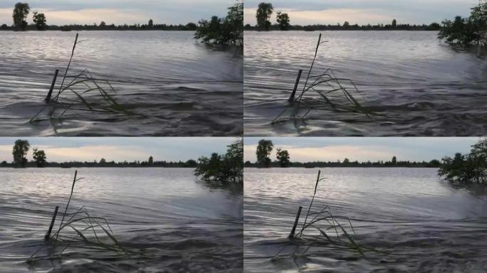 水流过草地。