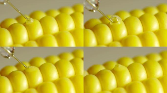 玉米注射器棒。