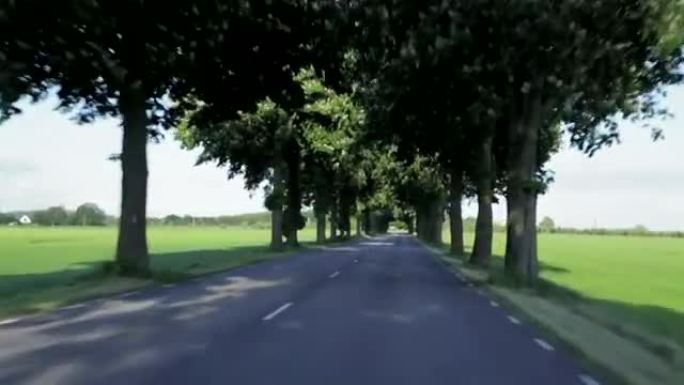 驾驶汽车穿过一条树木的小巷