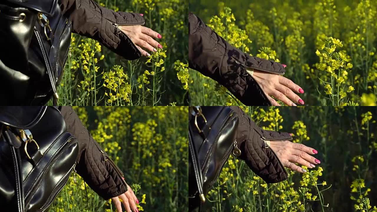 一个女孩牵着油菜花的手。慢动作