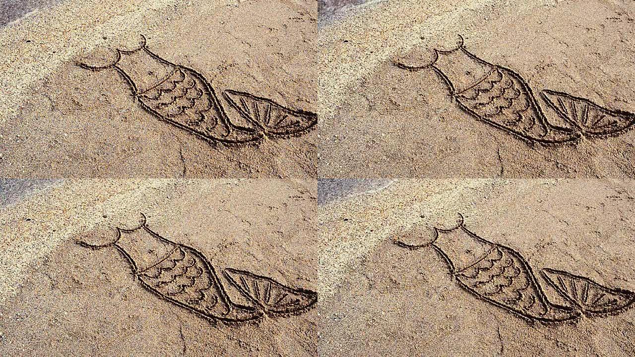 美人鱼在沙子上画画。