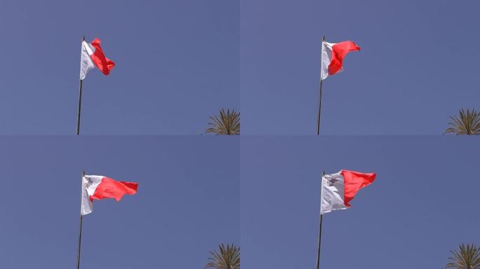 马耳他旗和棕榈树顶
