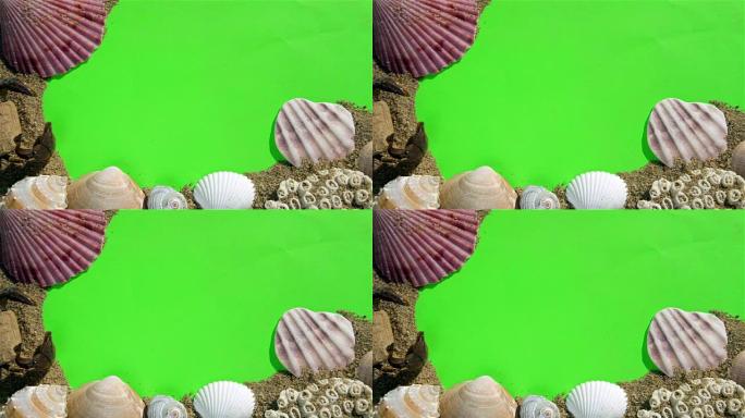 绿色屏幕上的贝壳和沙子。