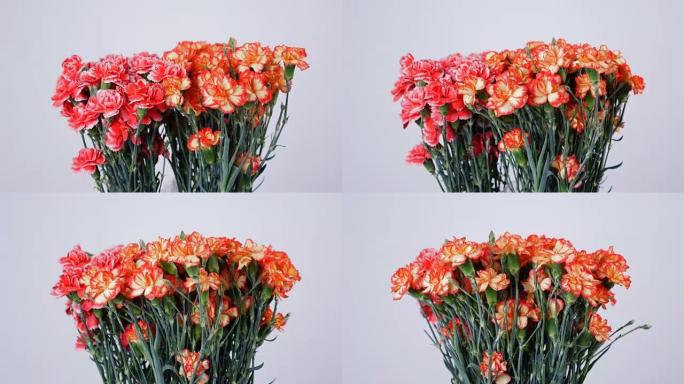 花朵，花束，白色背景上的旋转，花卉成分由亮黄色，橙色和粉红色的土耳其康乃馨组成