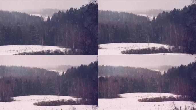 冬季森林背景。