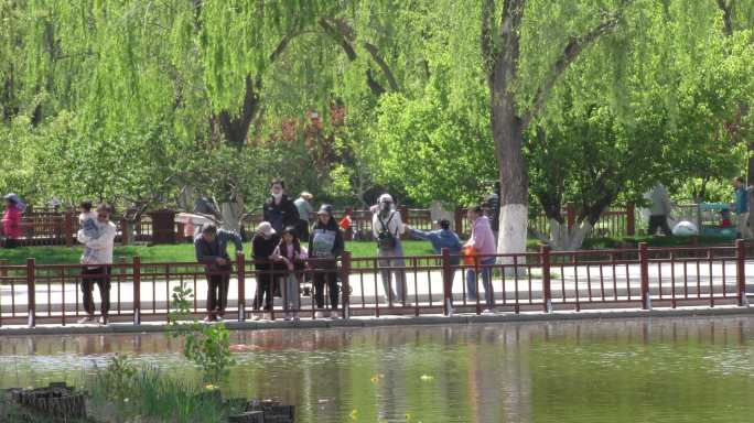 公园游玩一家人游玩晨练跑步游船北京旅游