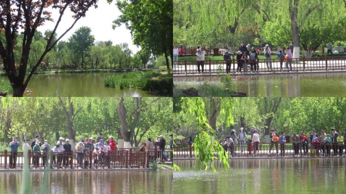 公园游玩一家人游玩晨练跑步游船北京旅游