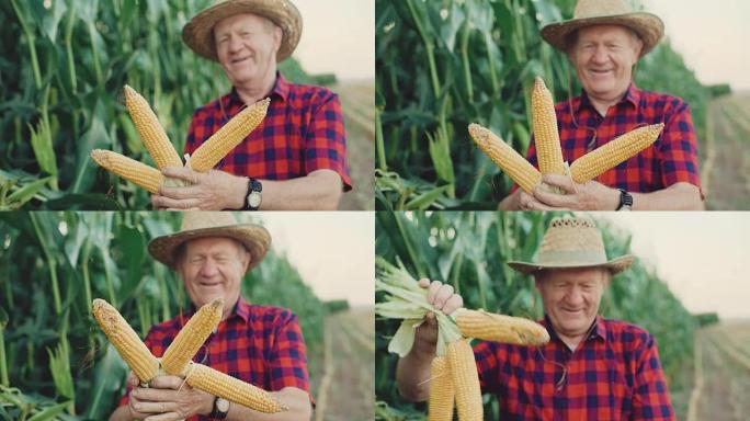 快乐的农民在全高清相机上展示了玉米的丰收