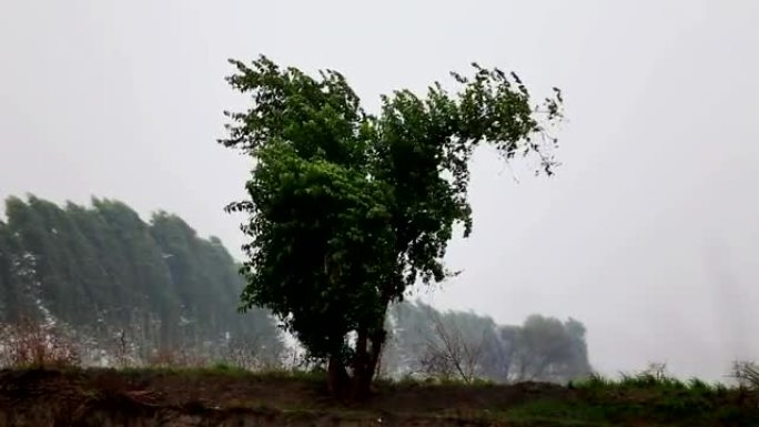 暴雨