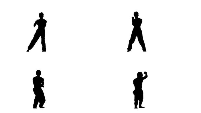 男子训练跆拳道或空手道跳跃，高踢腿和拳头，剪影，慢动作