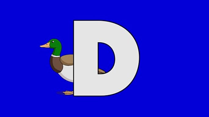 字母D和鸭子 (背景)