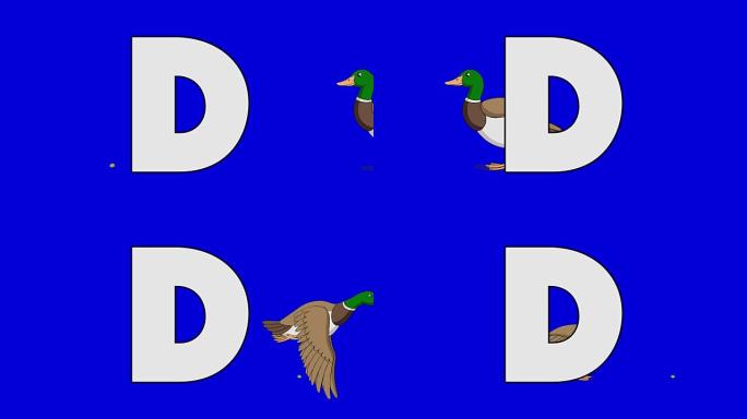 字母D和鸭子 (背景)