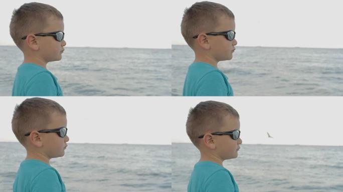 戴着墨镜的男孩看着大海