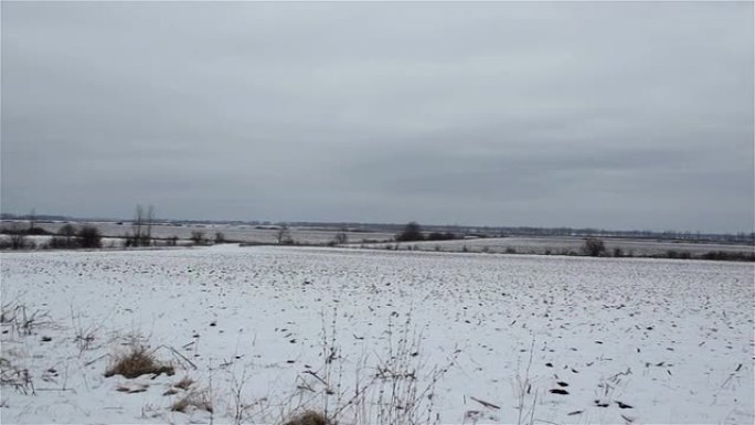 积雪覆盖的田野