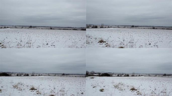 积雪覆盖的田野