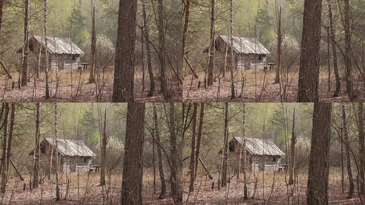 森林中的木屋，远射