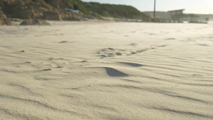 风吹沙在以色列海滩上，沙子随风而动。