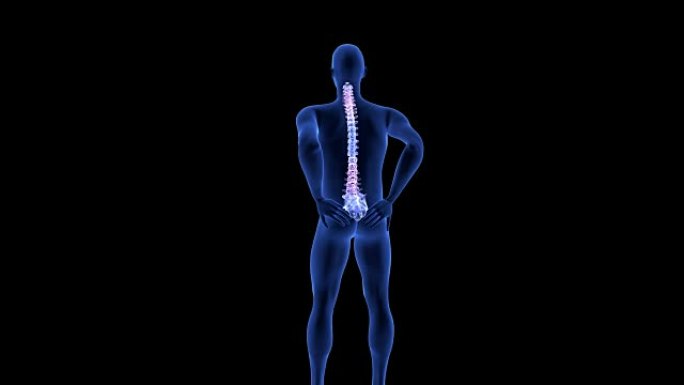 脊椎疼痛。黑色背景上的蓝色人体解剖体3D扫描渲染
