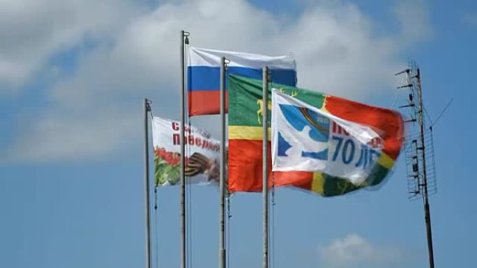 许多不同的旗帜有盾和旗帜。