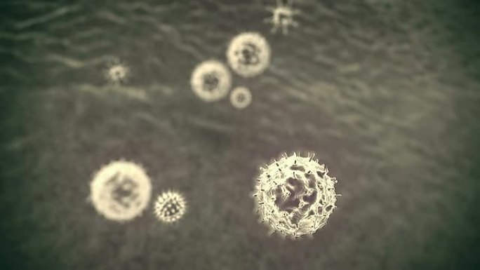 吞噬细胞、病毒