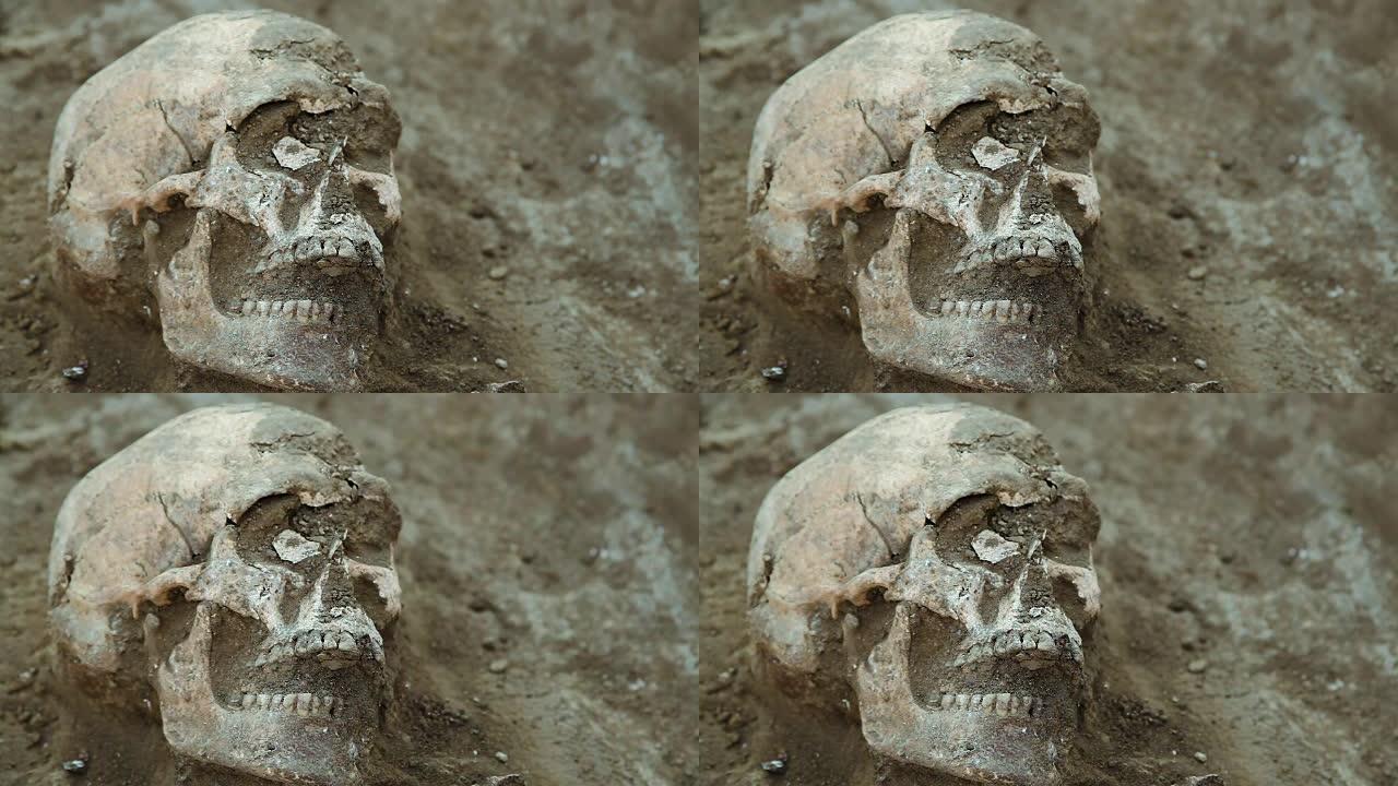 一群考古学家发现了距今2000多年的古人墓葬。