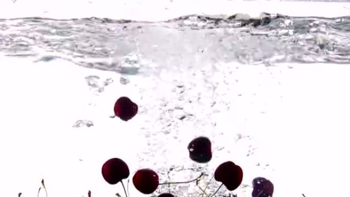 白色背景上飞溅的新鲜樱桃落在水中的慢动作