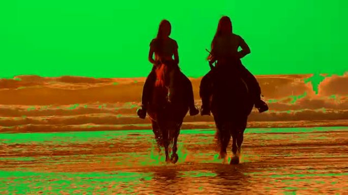日落时在海滩上骑马的马