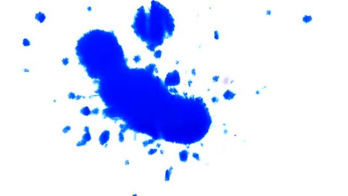 白色背景上孤立的亮蓝色滴水