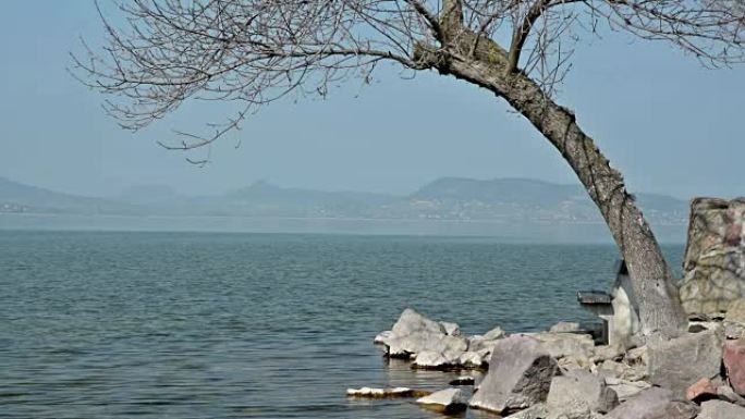 匈牙利巴拉顿湖海岸