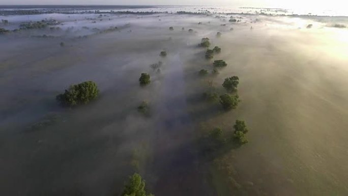 在平静的河上低空飞行。水面上浓雾。