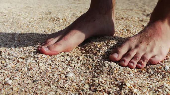 一个男人的手在沙滩上拿贝壳，沙子