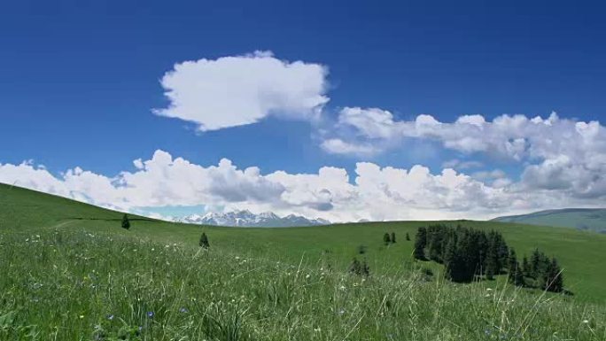 云朵漂浮在草地上