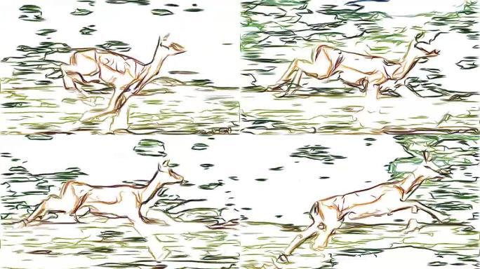 瞪羚贯穿萨凡纳铅笔绘制卡通动画无缝循环新质量独特手工动态快乐七彩视频素材
