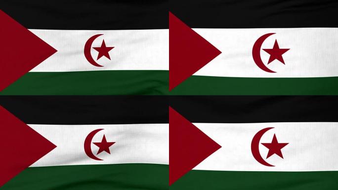飘扬的西撒哈拉国旗
