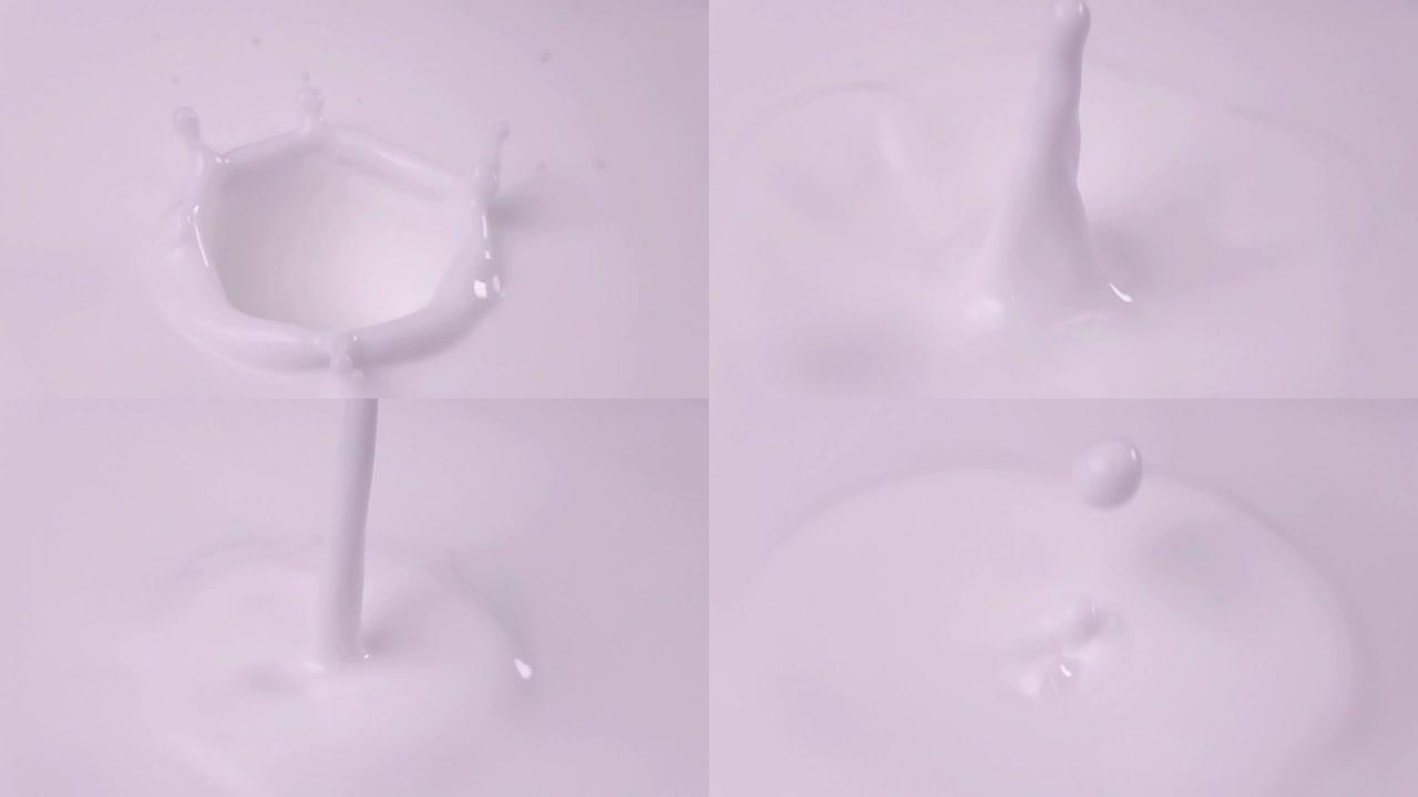 覆盆子以慢动作落入牛奶中。树莓以慢动作落入酸奶中。