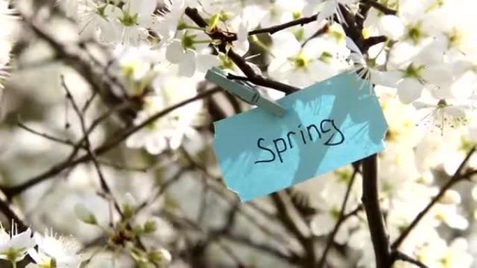 春天的晴天，春天的吊牌和白花