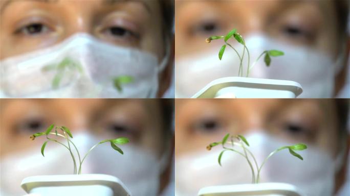 一名女性科学家在实验室里观察一颗小芽。慢动作