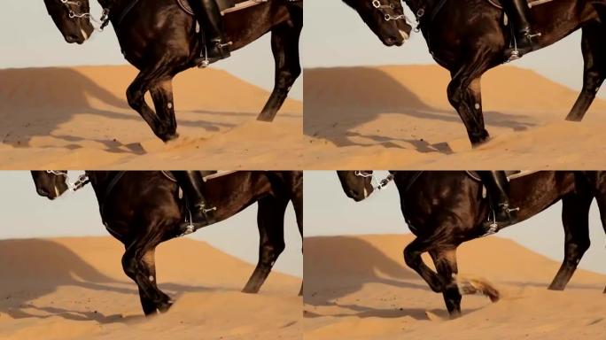 阿拉伯骑马者在迪拜的沙漠上骑行