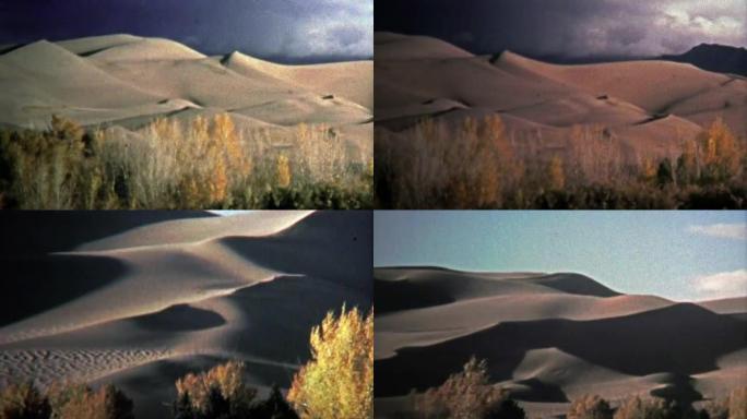 美国圣路易斯谷-1972:大沙丘国家公园展示着炽热的沙子。